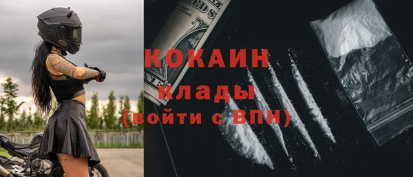 прущие грибы Балахна
