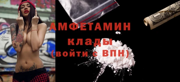 прущие грибы Балахна