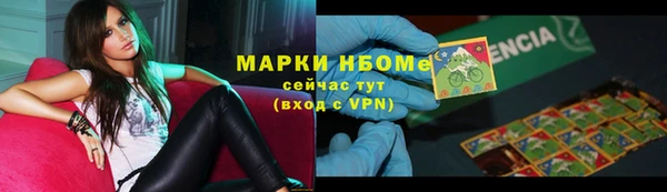 прущие грибы Балахна