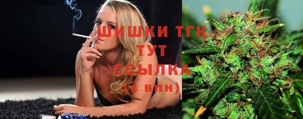 прущие грибы Балахна