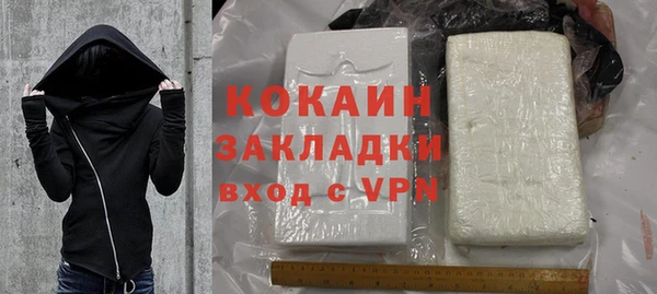 прущие грибы Балахна