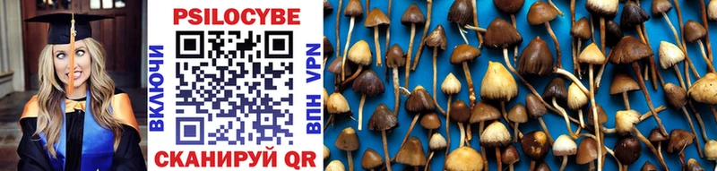 Галлюциногенные грибы Magic Shrooms  Бор 